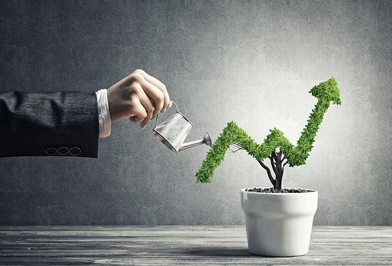 Promote Content to Support Organic Growth